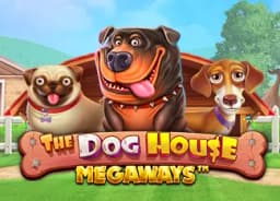 ooh2021: The Dog House Megaways